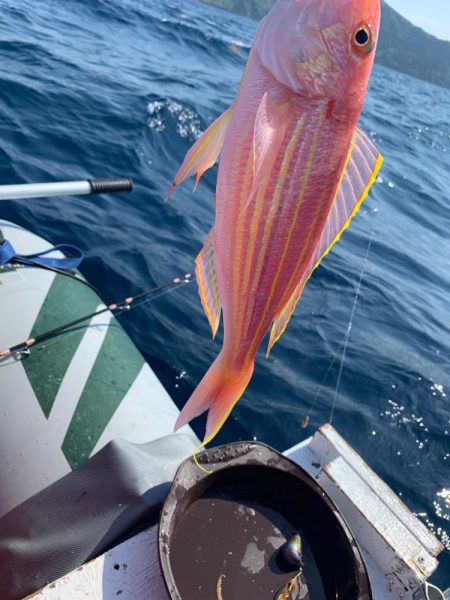 マイボートでアマダイ釣行。