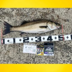 諦めず場所移動