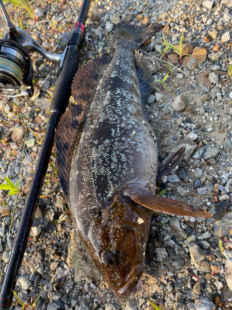 ロック、メバリング