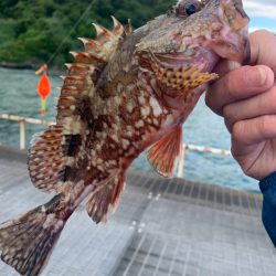 いろいろいつもの