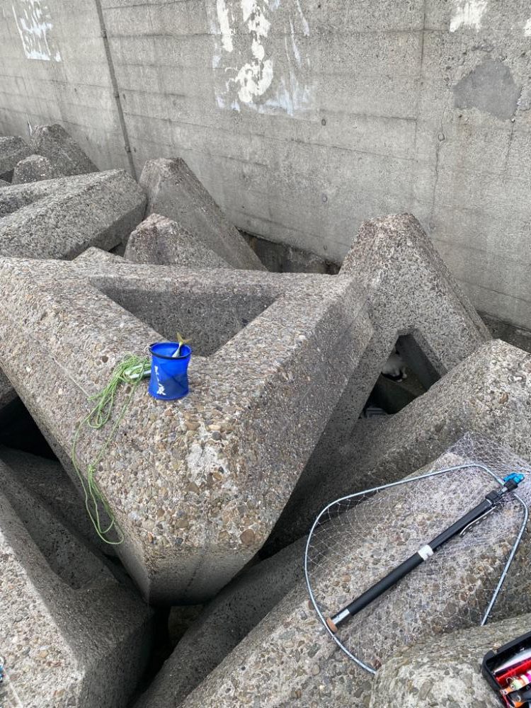 泉大津ショアジギング