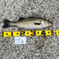 場所移動で挑む。