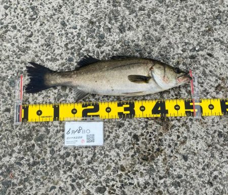 場所移動で挑む。