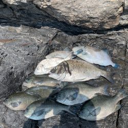 梅雨合間の晴天☀️