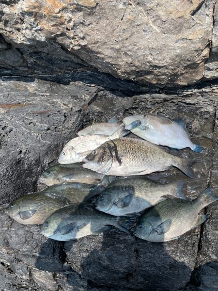 久しぶりの徳山へグレ釣りに❗️