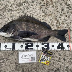 朝の満潮付近の時間帯