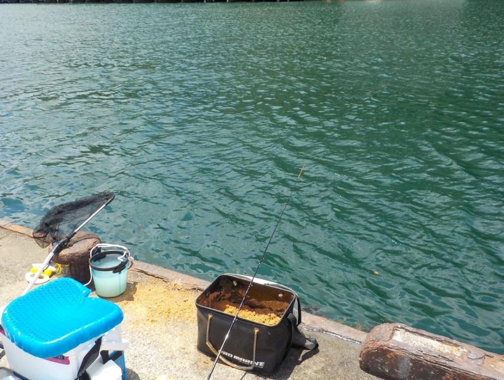 かかり釣りデビュー戦