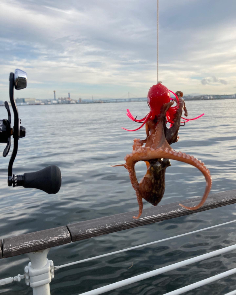 新子狩り。ツヌケ10杯。。。