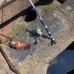 穴釣り 2022年13回目