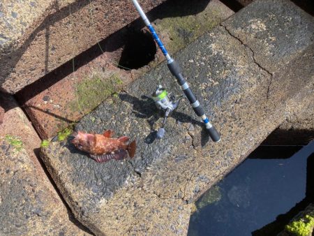 穴釣り 2022年13回目