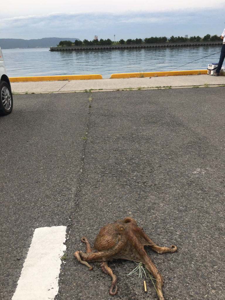 自己最高を更新