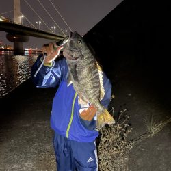 久々のシーバス