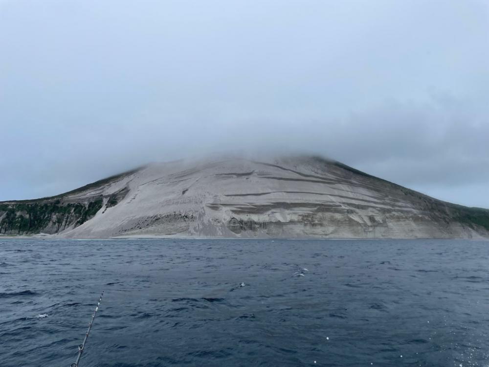 新島、五目釣り