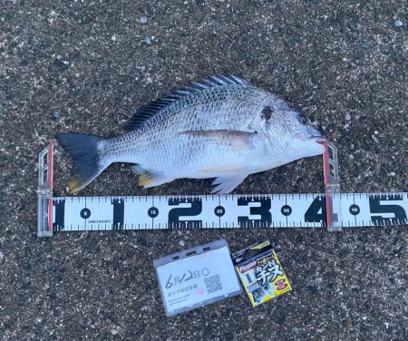 風が少し強く肌寒く感じる日