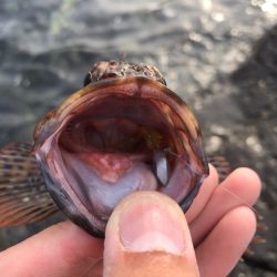 いよいよ夏本格化？？