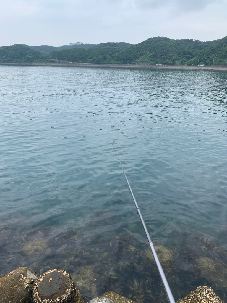 年無しには少し及ばず…