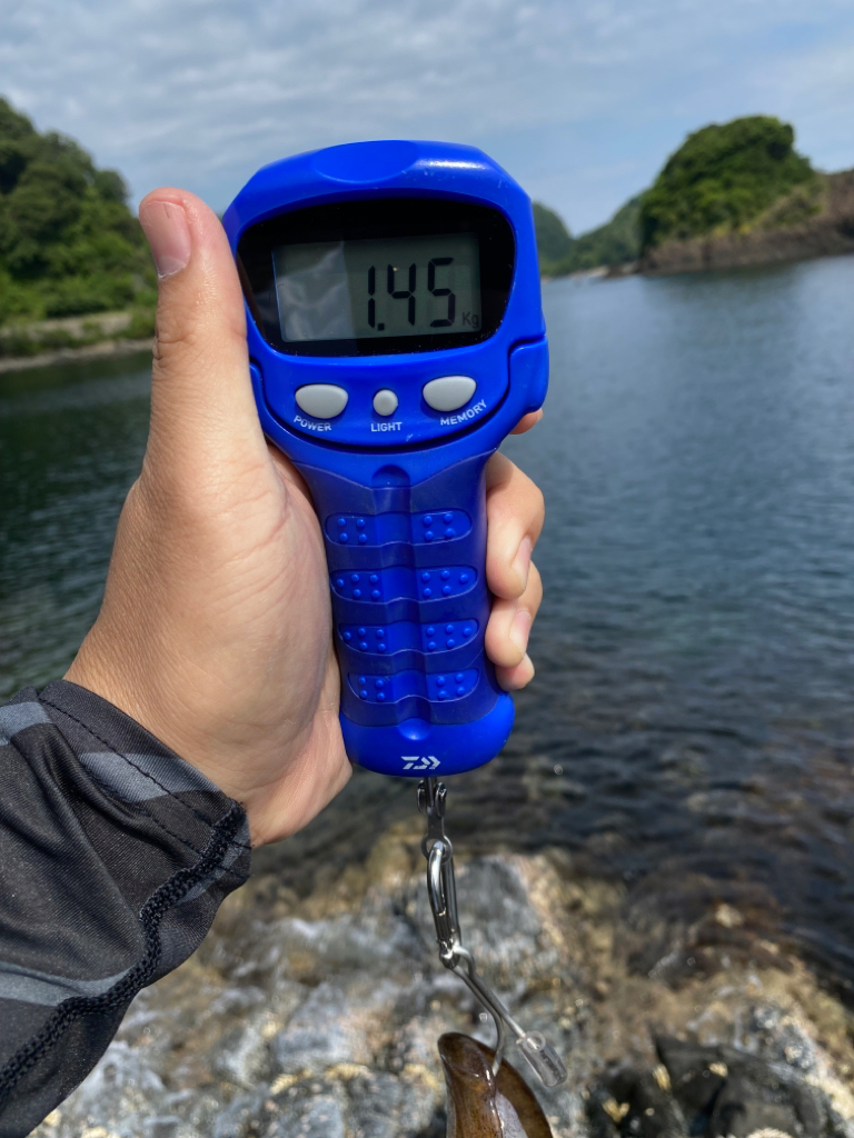 梅雨明けエギング