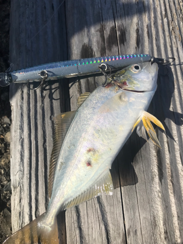 信頼と安心のビッグバッカー!