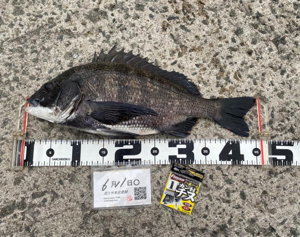 釣り終了間際に雨