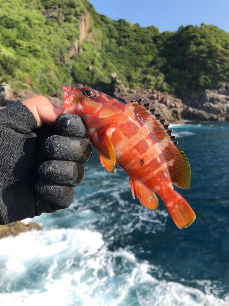 休み消化で磯へ