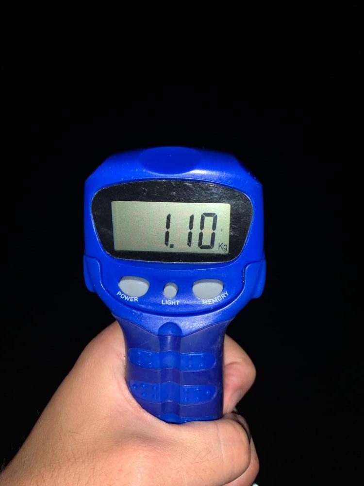 キロアップ捕獲!