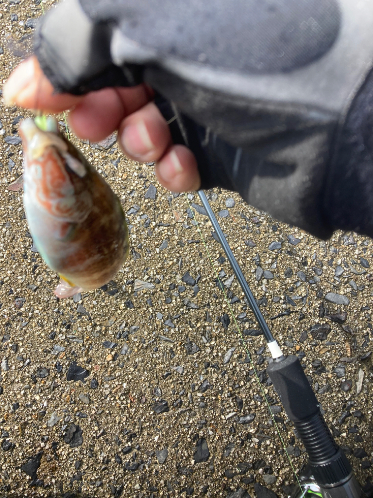 2022穴釣り15回目