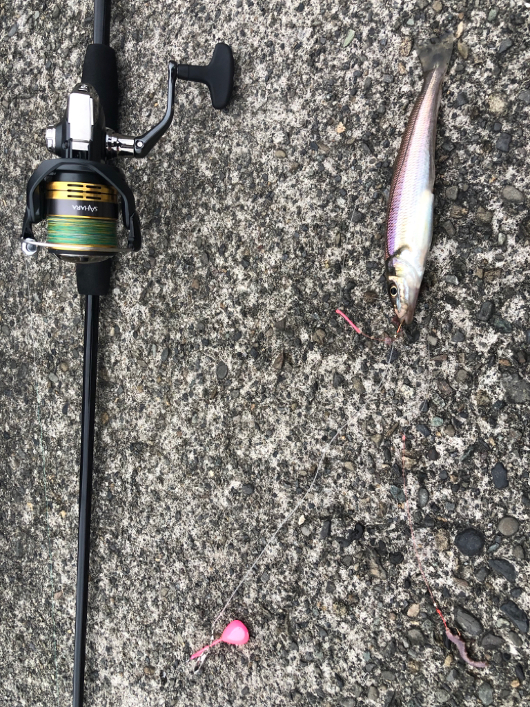 ちょい投げキッス!!