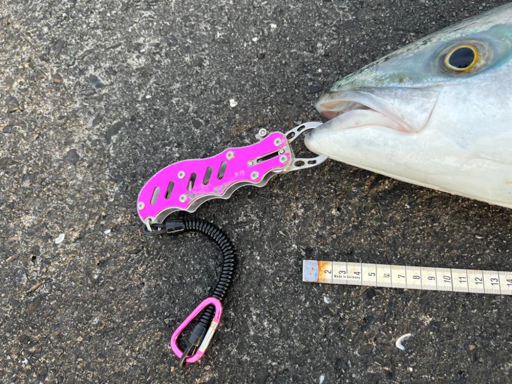 タモオレルド・デカブリお〜!(笑)