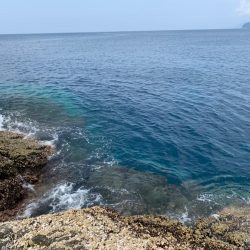 リベンジならず