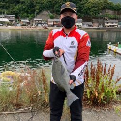 諦めなければグレは釣れる！？