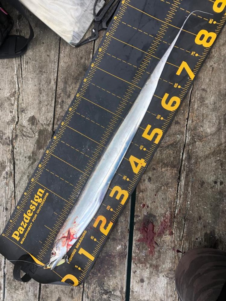 筏は裏切りません