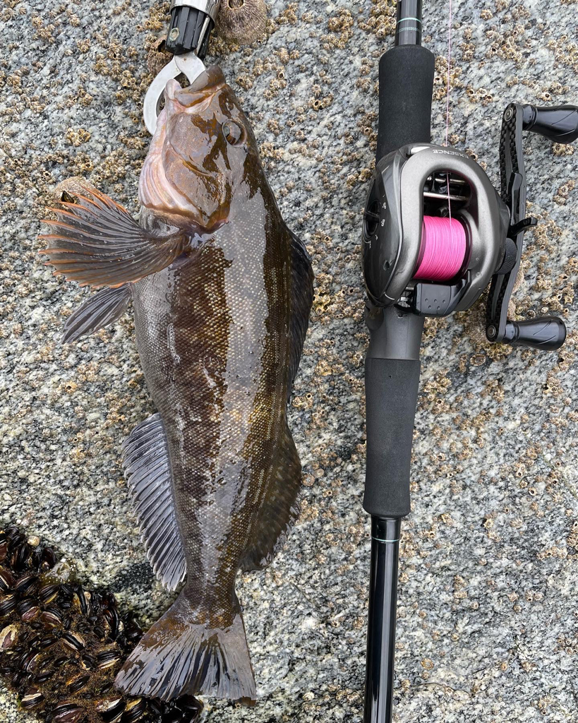 初の東北遠征でモンスターゲット!