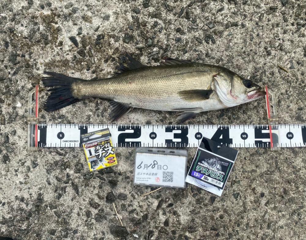 間開けず反応有り