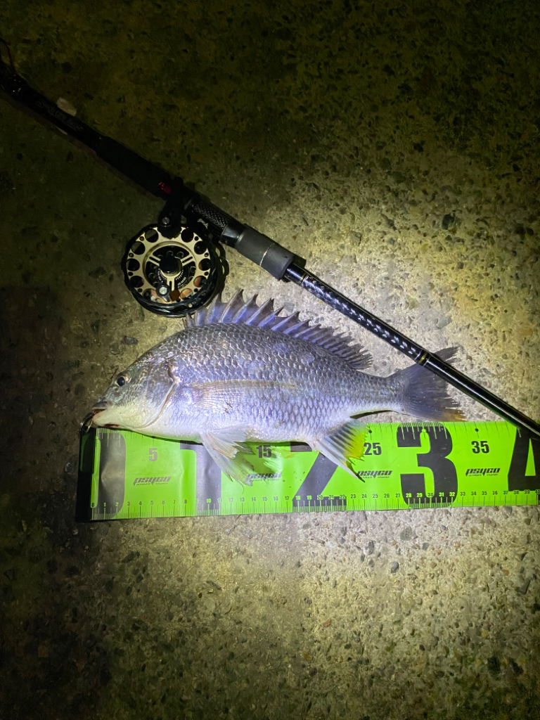 ヘチってきました