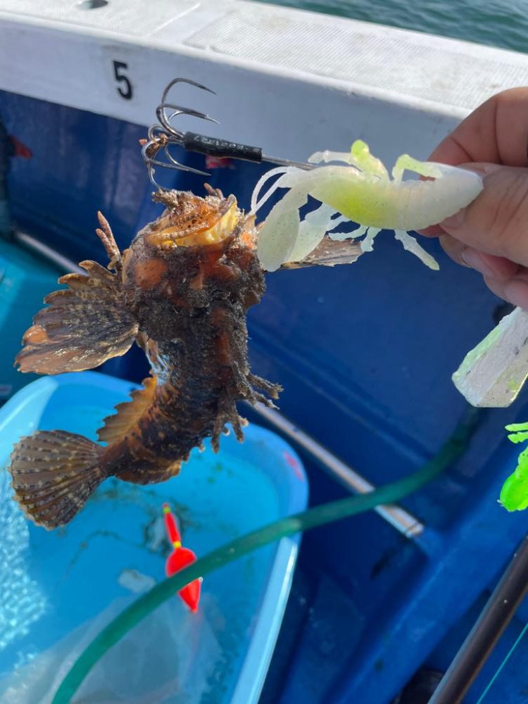 明石　船タコ苦戦