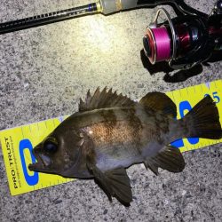 いいサイズ揃いました