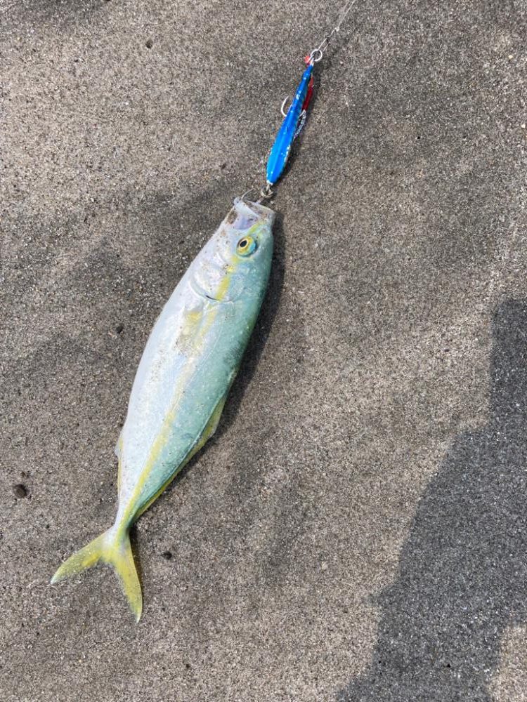 吹上浜五目釣り