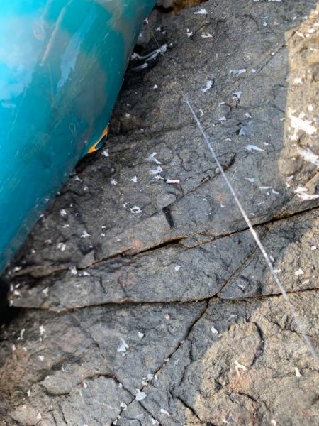 尾長を求めてパート2