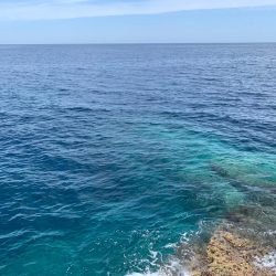 尾長を求めて‼︎