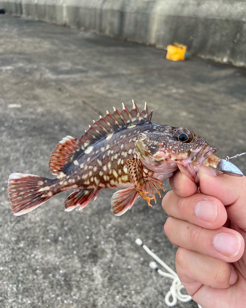 トレジャーハント