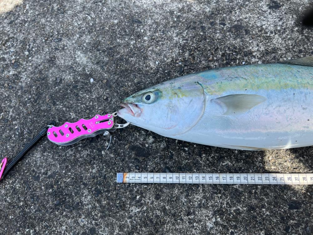 灼熱の万次郎で10投勝負!