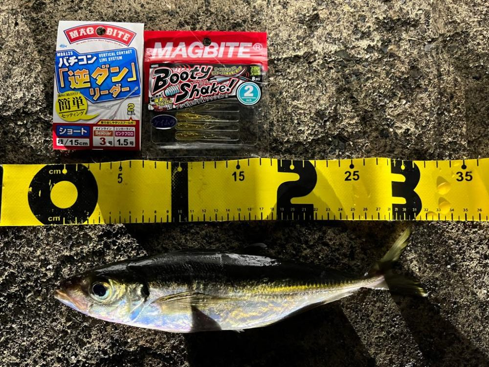 バチコンリベンジ　#マグバイト