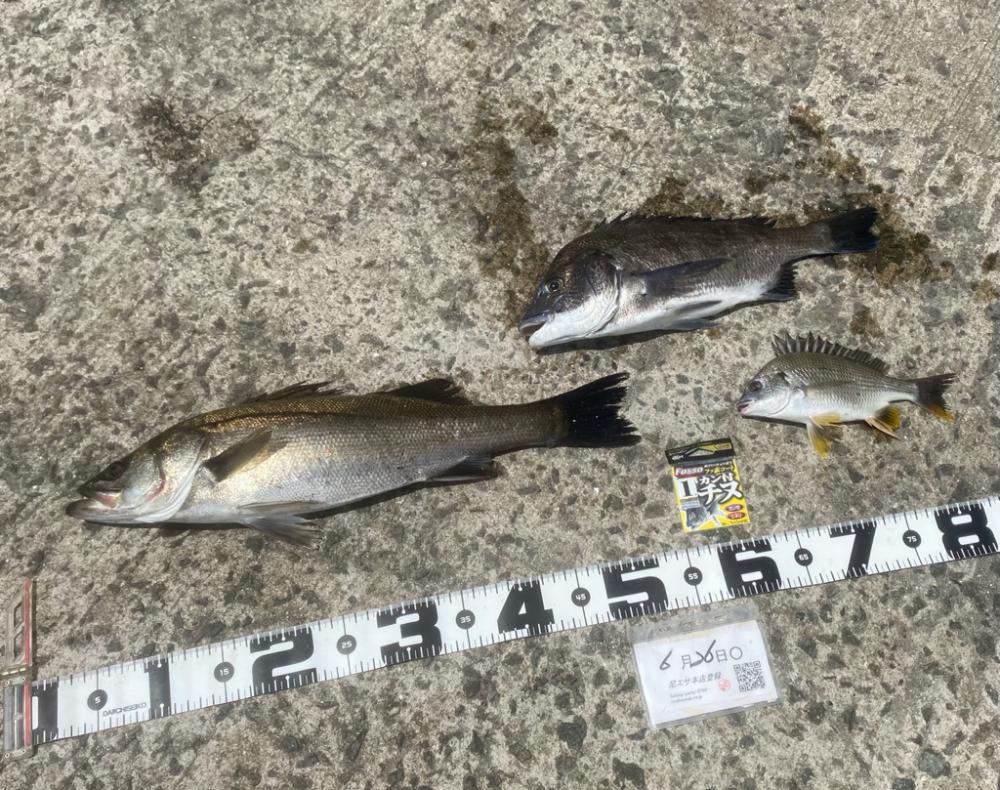 天気回復。更に