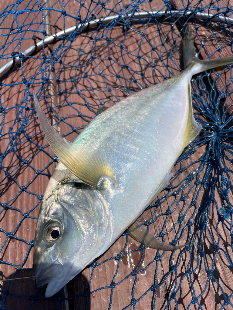 じゃのひれフィッシングパークさんにて