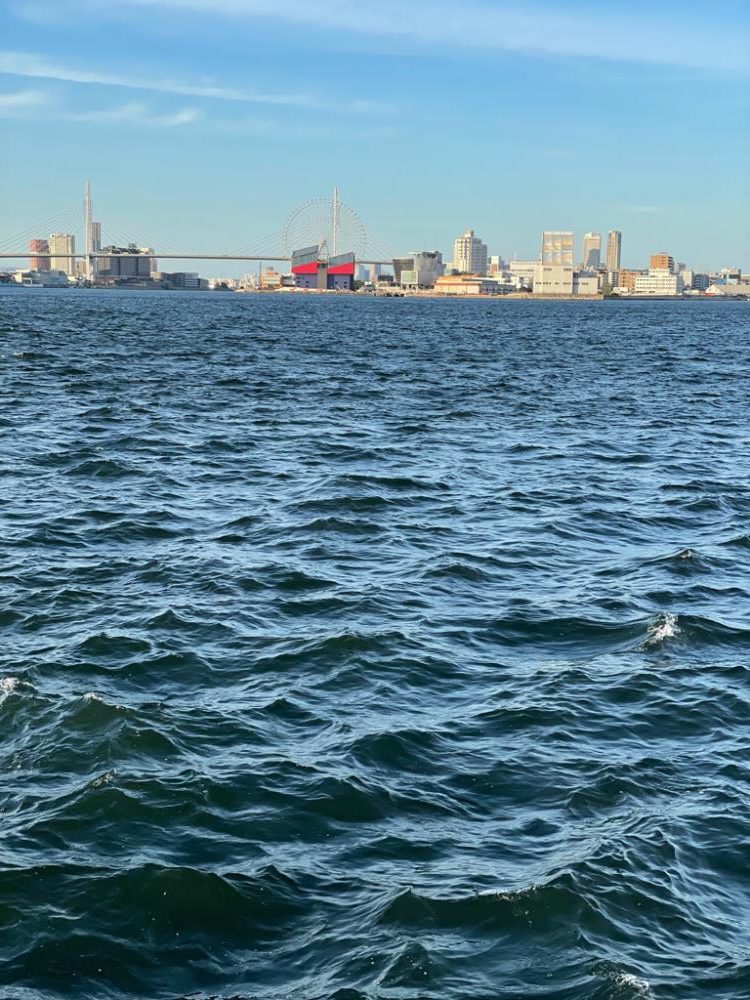 まさかのシロギス！？