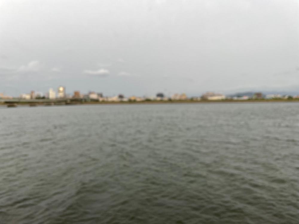 初投稿!小マゴチ!