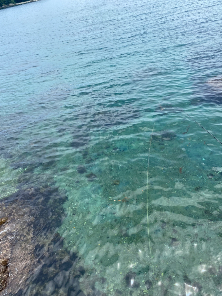 地元でエギング、アジング