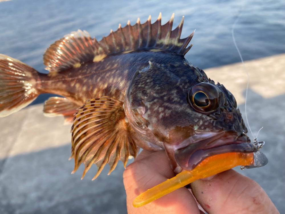 やはり仕上げは・・・