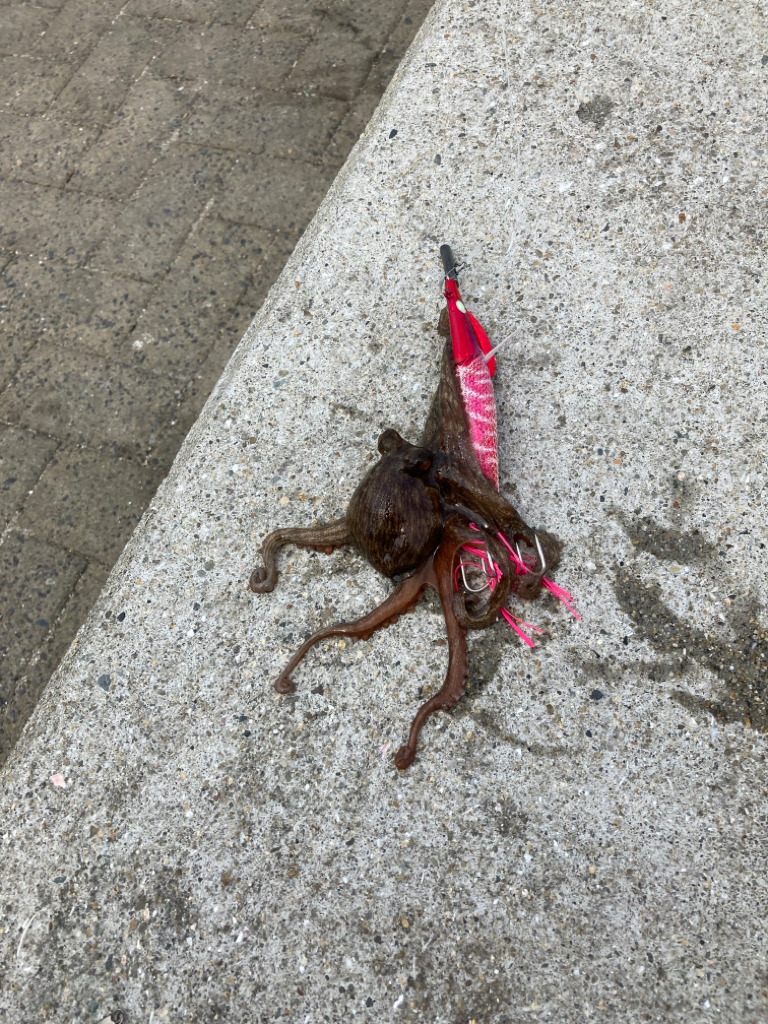 ⭐︎繰り返す。私は何度でも繰り返す。