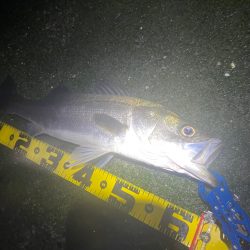 初ウェーディング